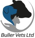 Buller Vets Ltd